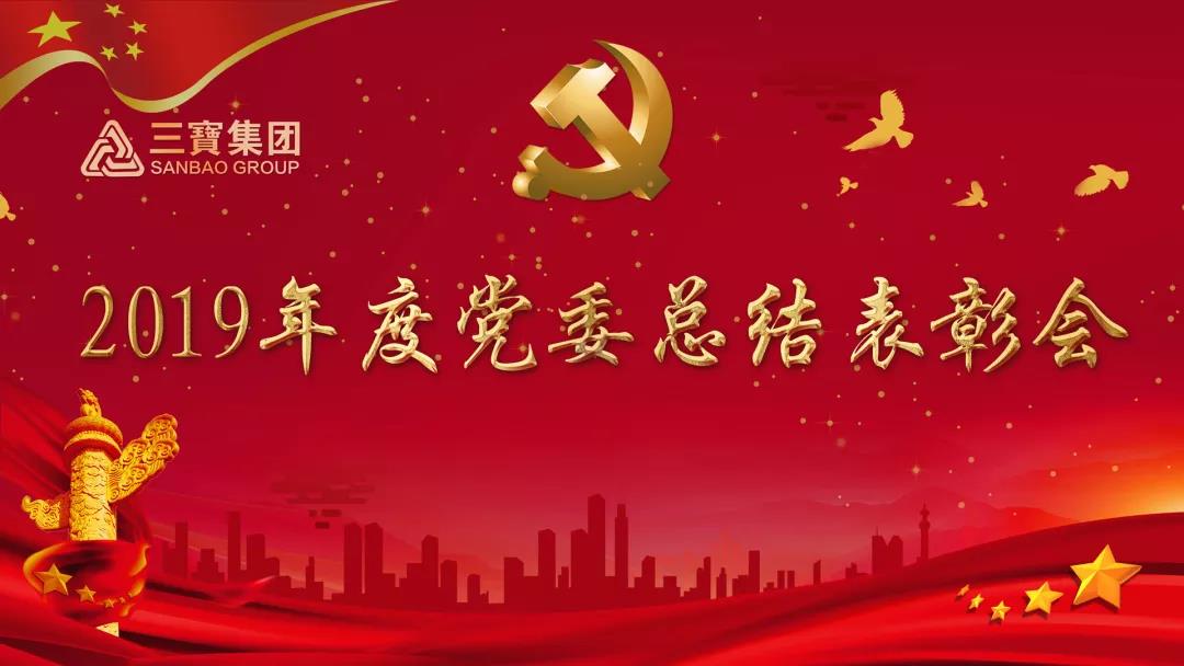 萬眾一心加油干，不負韶華勇向前｜三寶集團黨委召開2019年度總結(jié)表彰會