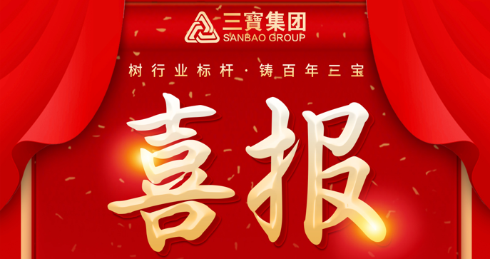 喜報！三寶職工榮獲福建省百萬職工“五小”創(chuàng)新大賽一等獎